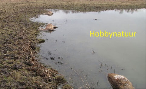 Hobbynatuur