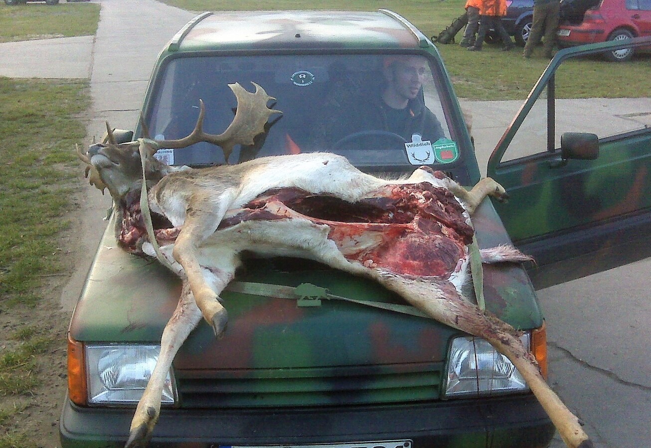Schaufler op de motorkap