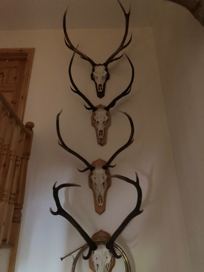 4 primeurs uit één gezin